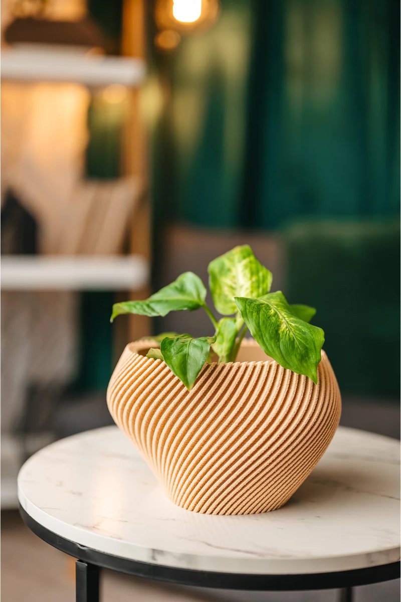 Oblý 3D tištěný květináč Fiedler Design s pokojovou rostlinou
